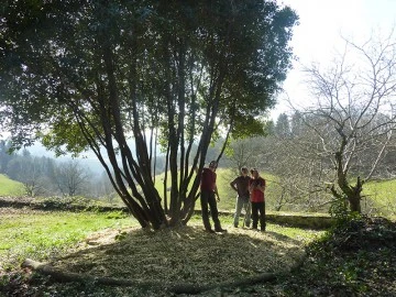 P1020117