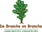 DE BRANCHE EN BRANCHE